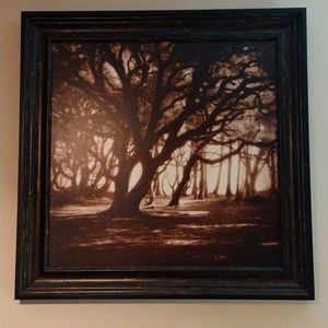 Portrait by Steven Mitchell  A visual guy by nature